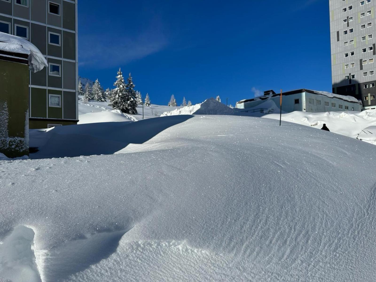 White Home Tonale Passo del Tonale Esterno foto